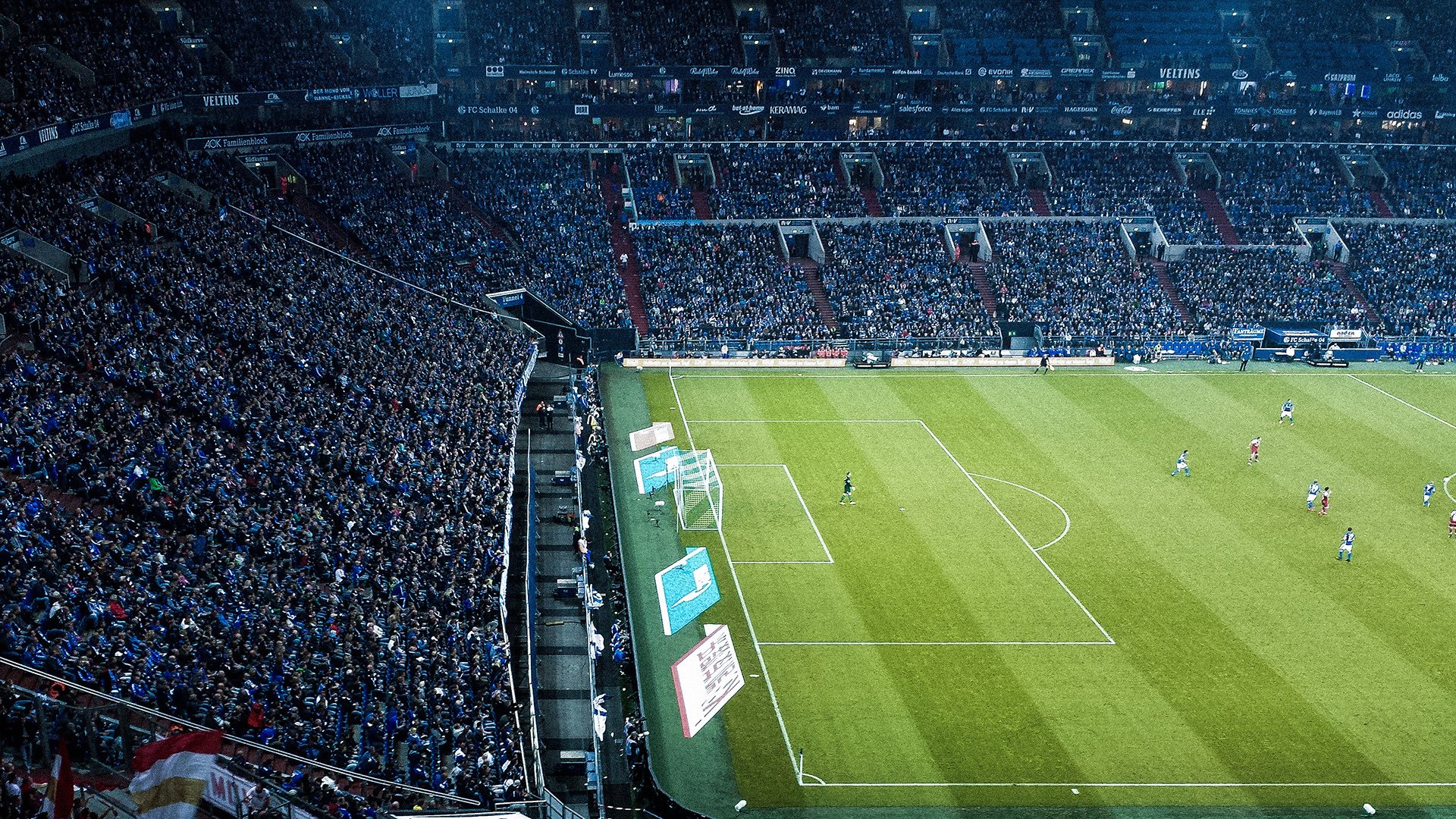 世界排名争夺战之夜，范弗利特稳定输出不掉线